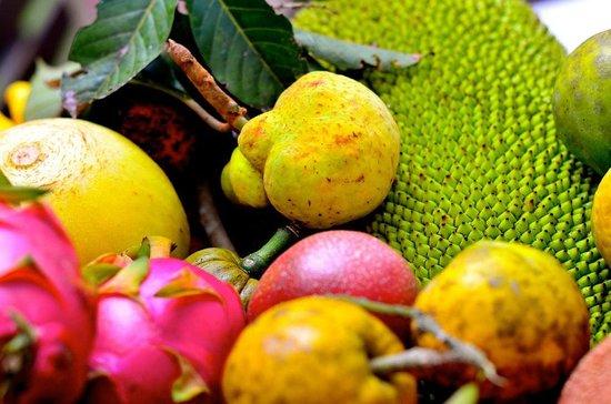 Mission Beach Tropical Fruit Safari